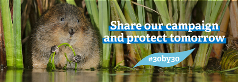 Share our campaign and protect tomorrow wording on water vole photo