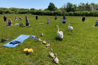 Outdoor yoga at Rainton Meadows with swans waddling through group of people