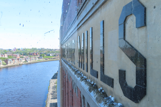 river tyne and baltic building with kittiwakes along the ledge