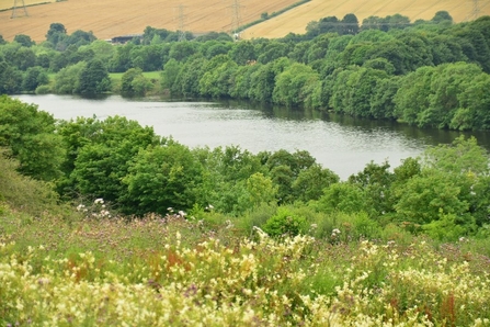 A view of westfield pasture including lake and trees