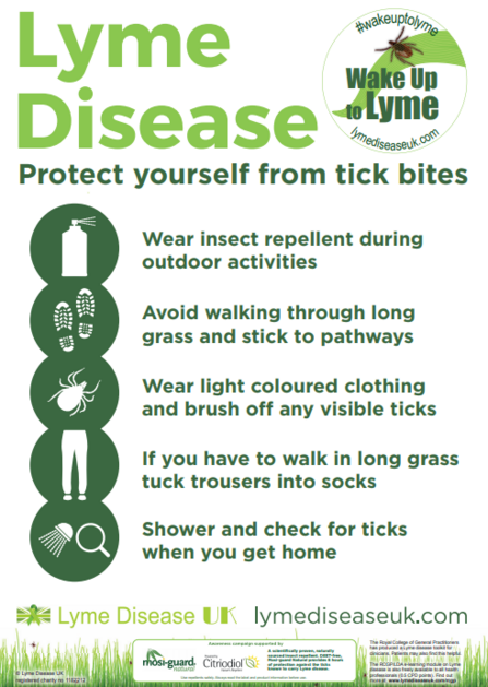 Lyme disease poster