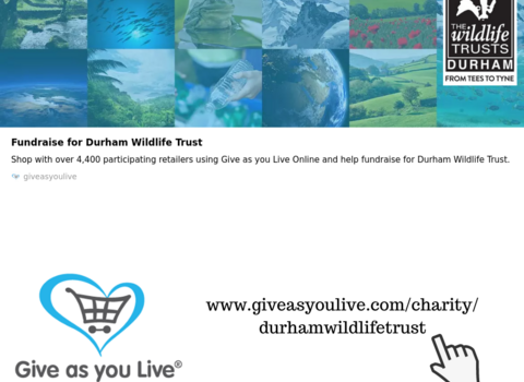 Graphic promoting give as you live
