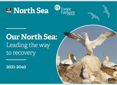 North Sea Recovery Strategy