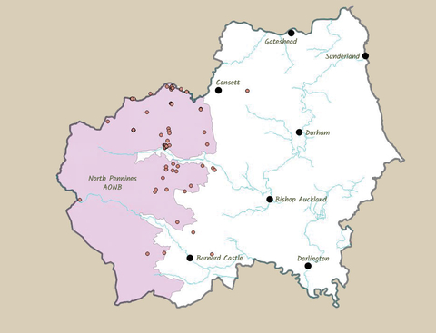 Map of adder sightings