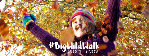 Promotional banner for big wild walk, girls with arms in air in front of autumn leaves