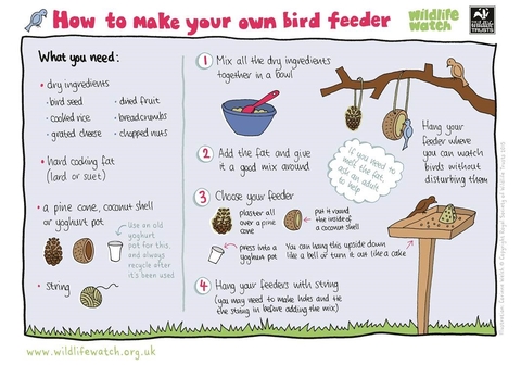 Make your own bird feeder