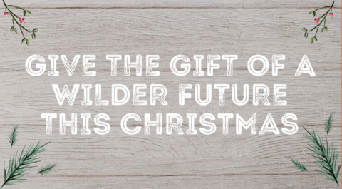 Christmas gift membership graphic 2