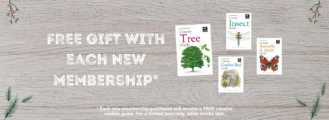 Free gift membership graphic