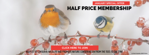 January Offer Advert Half Price Memberships