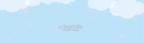 12 days wild promotional banner