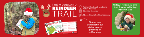 reindeer trail promotional graphic