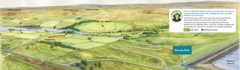 Illustration showing walking route at Hannah's Meadow