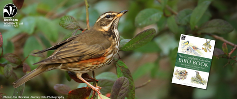 Redwing and Durham Wildlife Trust logo