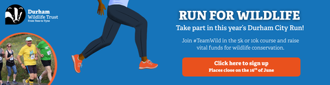 Durham City Run banner