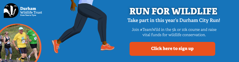 Durham City Run banner
