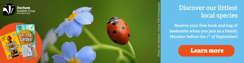 Incredible Invertebrates Banner