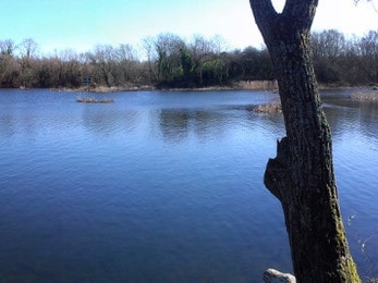 Joe’s Pond Nature Reserve