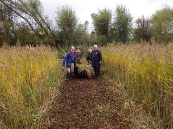 Redcar Field Nature Reserve