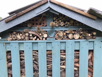 Apex area of bug hotel with materials in place