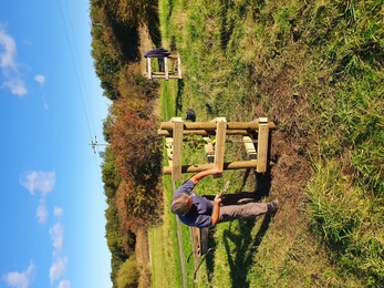 Plum tree planting rainton meadows winter fuel