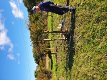 Plum tree planting rainton meadows winter fuel