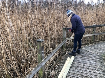 Ali fixing damage to the boardwalk