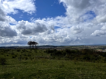 Seven Sisters