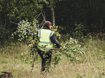 ASDA Habitat Management 4