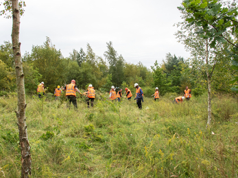 ASDA Habitat Management