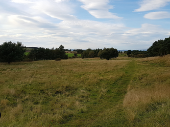 Link Together Elemore former golf fairway