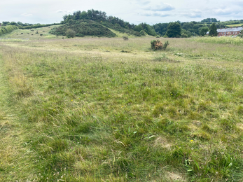 View over grasslands.