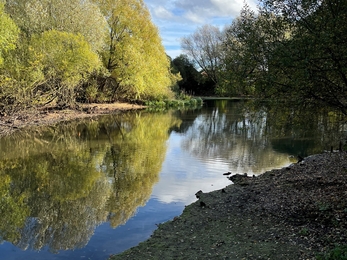 Brinkburn Pond after work to remove duckweed.