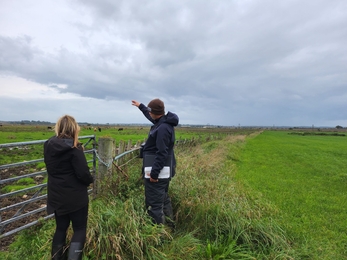 Two people looking over fence to fields