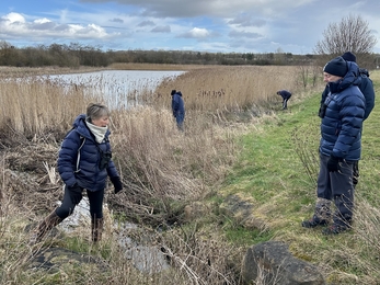 People standing next to pond and among reeds