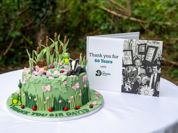 Celebration wildlife-themed cake and thank you card on a table