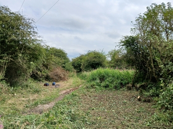 pathway after clearance of overgrown vegetation 