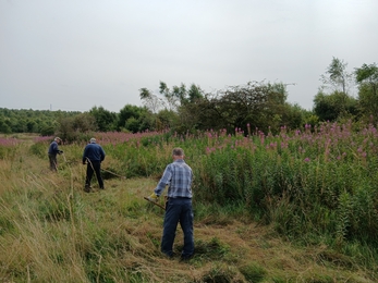 Group of people scything in meadow