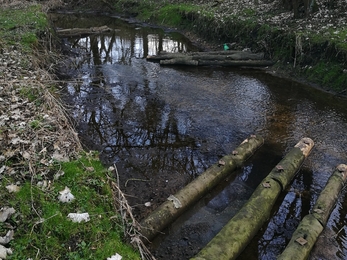 Flow deflectors crossing the water of the River Skerne