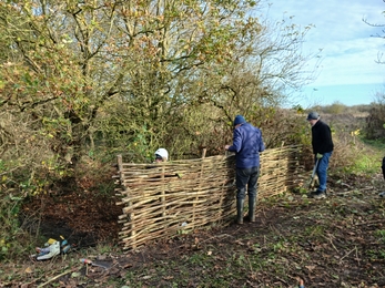 Small group of people making a Willow Hurdle