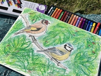 a coloured drawing of a goldfinch and bluetit sitting on crayons with grass underneath