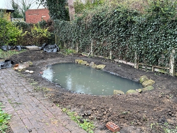 A pond in a back garden with a hedge on one side