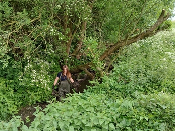 Woman wearing waders standing in burn surrounded by trees and plants