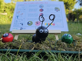 Three 'bugs' made out of discarded golf balls sitting on a grass / moss area with a sign behind them