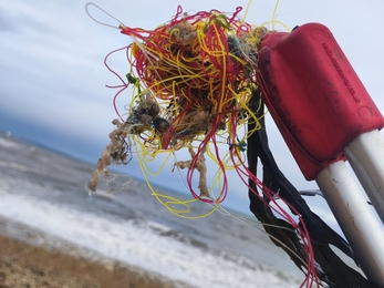 Head of a litter picker stick holding discarded fishing equipment on beach with sea in background
