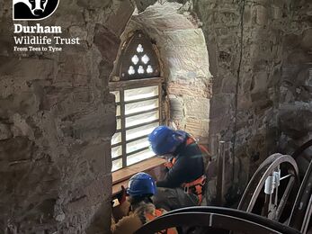Two people in blue helmets and orange harnesses work inside a historic stone tower near an arched window; large wooden wheels and ropes suggest bell-ringing machinery. A Durham Wildlife Trust logo appears in the corner.