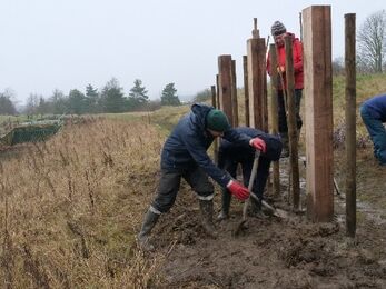 People in waterproof clothing install a line of wooden posts in a muddy field beside a small green footbridge, working as part of an outdoor conservation project.