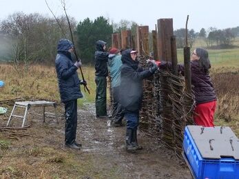People in rain gear weave branches into a wooden fence in a grassy outdoor area, working together with tools and materials nearby.