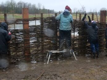 Four people in waterproof clothing weave thin branches between upright posts to build a rustic wooden fence beside a muddy path, with a lake and bare trees in the background. One person stands on a small step ladder to reach the upper section.