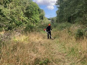 A person wearing an orange safety helmet and protective gear uses a brush cutter to clear tall vegetation beneath overhead power lines, with trees lining both sides of the corridor.