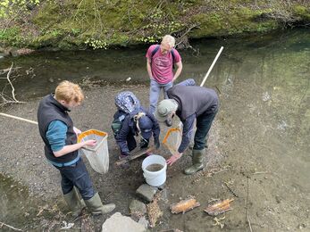 Four people in outdoor gear stand and crouch beside a shallow woodland stream, using long‑handled nets and a white bucket to examine what they’ve collected. Mossy rocks, fallen branches, and trees surround the group as they carry out a hands‑on river sampling activity.